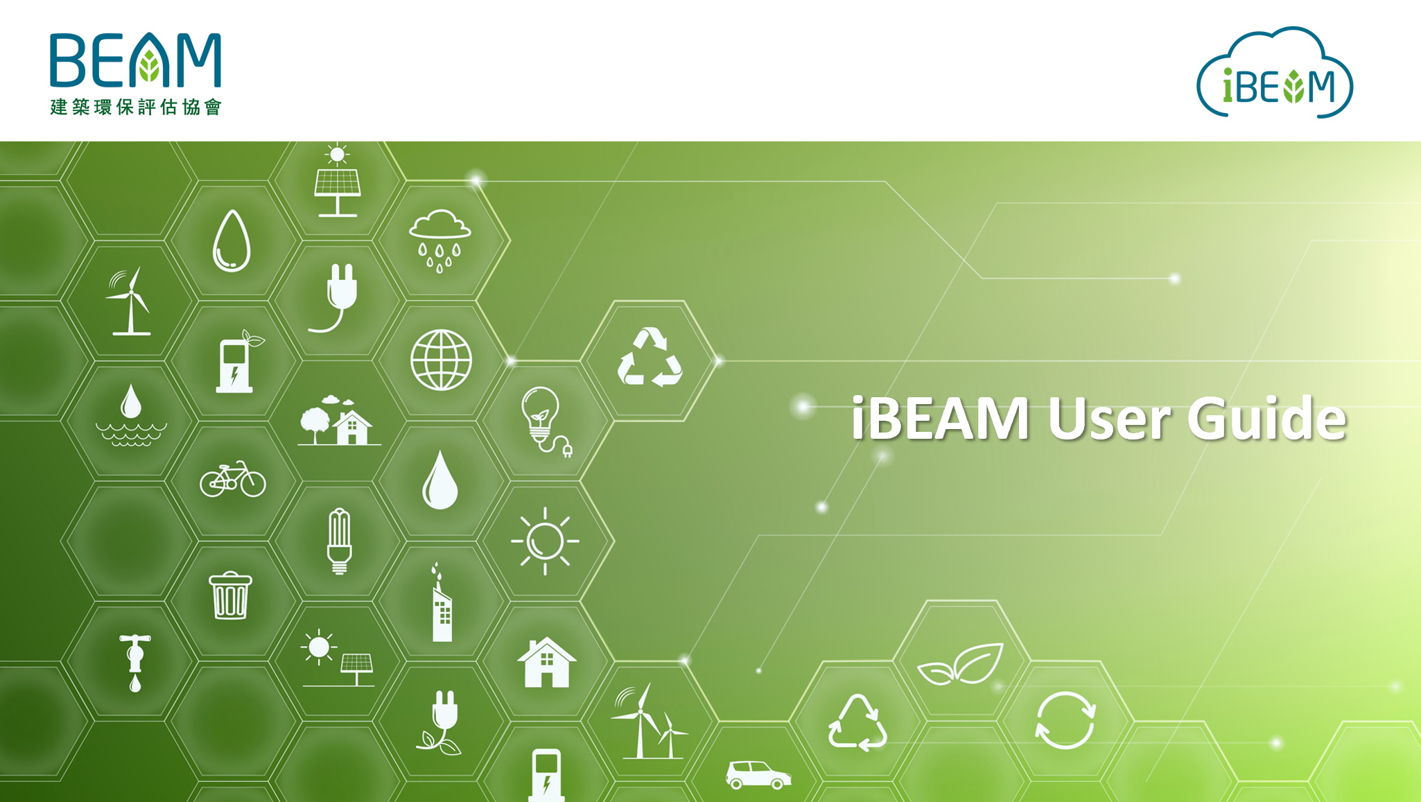iBEAM User Guide
